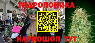 крисы Лесосибирск