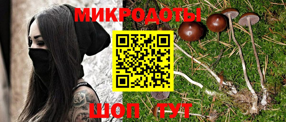 Владивосток  Псилоцибиновые грибы MAGIC MUSHROOMS  Вход с VPN  Галлюциногенные грибы мухоморы 