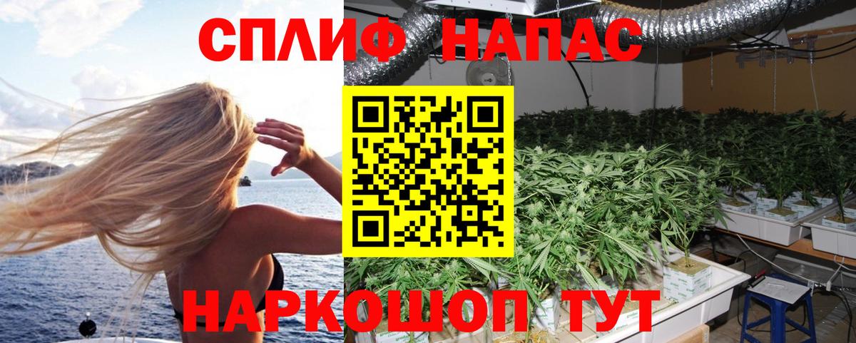 Бошки марихуана ГИДРОПОН  МАРИХУАНА AK-47  Владивосток  Вход с VPN  Конопля индика  Канабис SATIVA & INDICA 